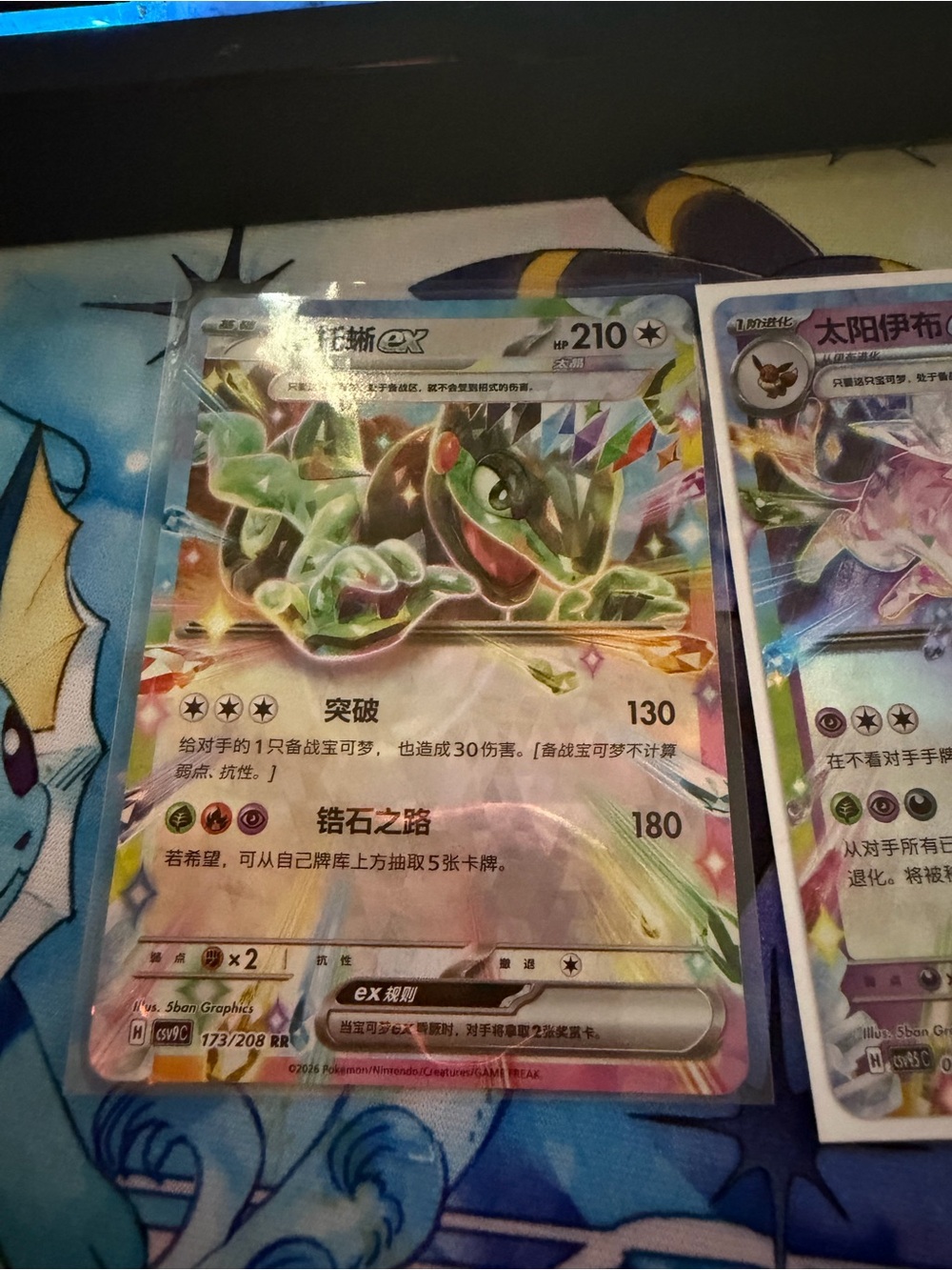Card Game - Picture 2 of 6